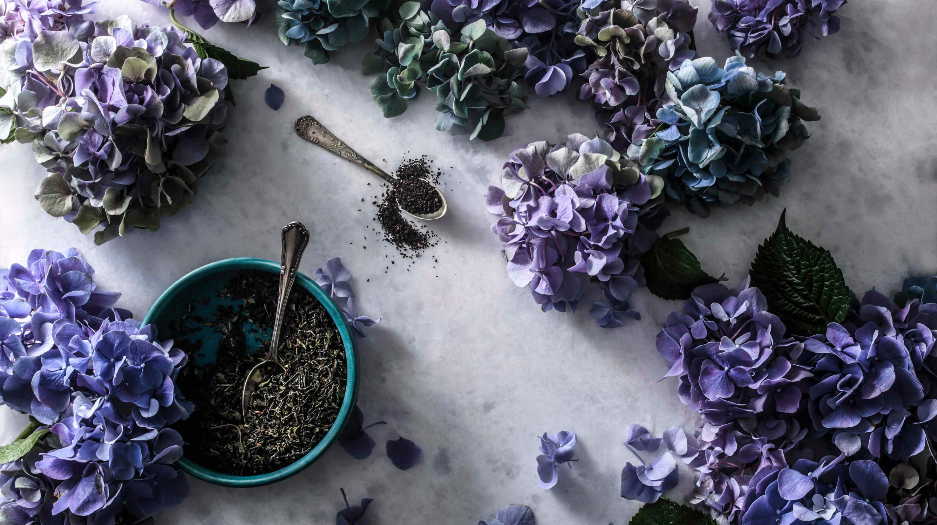 紅茶の茶葉と植物